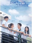 CHH1467 : Don't Disturb My Study วิกฤตหัวใจยัยนักเรียนดีเด่น (2021) (พากย์ไทย) DVD 4 แผ่น