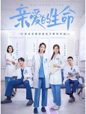 CHH1633 : Beloved Life ยอดคุณหมอ หัวใจเกินร้อย (2022) (ซับไทย) DVD 6 แผ่น