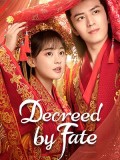 CHH1643 : ซีรี่ส์จีน Decreed by Fate ท่านหญิง อย่าชิงหย่ากับข้า (2022) (พากย์ไทย) DVD 2 แผ่น
