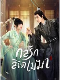 CHH1732 : The Letter from the Cloud กลรักลิขิตเมฆา (2022) (2ภาษา) DVD 4 แผ่น