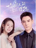 CHH1761 : Fairy From the Painting ลิขิตรักจากปลายพู่กัน (2022) (พากย์ไทย) DVD 4 แผ่น