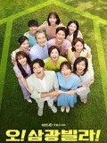 krr2084 : ซีรีย์เกาหลี Homemade Love Story ซัมกวัง หมู่บ้านอลเวง (2020) (2ภาษา) DVD 10 แผ่น