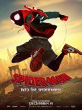 ct1328 : Spider-Man Into the Spider-Verse สไปเดอร์-แมน ผงาดสู่จักรวาล-แมงมุม DVD 1 แผ่น