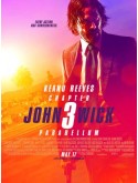EE3343 : John Wick: Chapter 3-Parabellum จอห์น วิค แรงกว่านรก 3 DVD 1 แผ่น