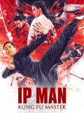 cm347 : Ip Man: Kung Fu Master (2019) DVD 1 แผ่น