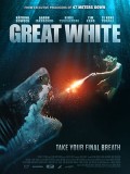 EE3638 : Great White ฉลามขาว เพชฌฆาต (2021) DVD 1 แผ่น