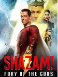 EE3719 : Shazam! Fury of the Gods ชาแซม! จุดเดือดเทพเจ้า (2023) DVD 1 แผ่น
