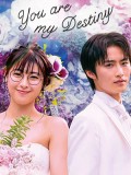 jp0886 : ซีรีย์ญี่ปุ่น You Are My Destiny พรหมลิขิตรักไม่รู้จบ (2020) [2ภาษา] DVD 2 แผ่น