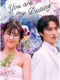 jp0886 : ซีรีย์ญี่ปุ่น You Are My Destiny พรหมลิขิตรักไม่รู้จบ (2020) [2ภาษา] DVD 2 แผ่น