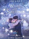 krr1761 : ซีรีย์เกาหลี While You Were Sleeping ลิขิตฝันฉันและเธอ (พากษ์ไทย) DVD 4 แผ่น