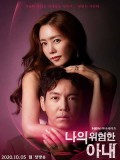 krr1961 : ซีรีย์เกาหลี My Dangerous Wife (2020) (ซับไทย) DVD 4 แผ่น