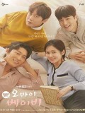 krr2079 : ซีรีย์เกาหลี Oh My Baby คุณ บ.ก.ขอมีรักสักครั้ง (2020) (2ภาษา) DVD 4 แผ่น