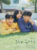 krr2123 : ซีรีย์เกาหลี Our Beloved Summer ร้อนนั้นเรารักกัน (2021) (ซับไทย) DVD 4 แผ่น