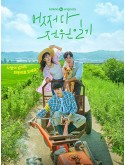 krr2206 : ซีรีย์เกาหลี Once Upon a Small Town บันทึกรักในเมืองเล็ก (2022) (ซับไทย) DVD 2 แผ่น