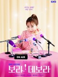 krr2287 : ซีรีย์เกาหลี True to Love (Bo Ra! Deborah) ตามใจรัก (2023) (ซับไทย) DVD 4 แผ่น