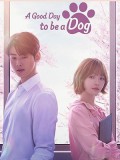 krr2352 : ซีรีย์เกาหลี A Good Day to Be a Dog จูบรักปลดล็อก (2023) (พากย์ไทย) DVD 4 แผ่น