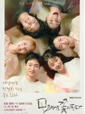 krr2353 : ซีรีย์เกาหลี Like Flowers in Sand (2024) (ซับไทย) DVD 3 แผ่น
