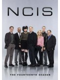se1658 : ซีรีย์ฝรั่ง NCIS Season 14 เอ็นซีไอเอส หน่วยสืบสวนแห่งนาวิกโยธิน ปี 14 [พากย์ไทย] 5 แผ่น