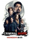 se1665 : ซีรีย์ฝรั่ง Criminal Minds Season 12 ทีมแกร่งเด็ดขั้วอาชญากรรม ปี 12 [พากย์ไทย] 5 แผ่น
