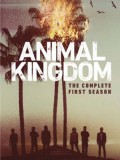 se1707 : ซีรีย์ฝรั่ง Animal Kingdom Season 1 (ซับไทย) DVD 3 แผ่น