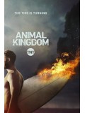 se1718 : ซีรีย์ฝรั่ง Animal Kingdom Season 2 (ซับไทย) DVD 3 แผ่น