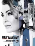 se1726 : ซีรีย์ฝรั่ง Grey's Anatomy Season 14 (ซับไทย) DVD 5 แผ่น