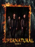 se1733 : ซีรีย์ฝรั่ง Supernatural season 12 [ซับไทย] DVD 6 แผ่น