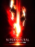 se1737 : ซีรีย์ฝรั่ง Supernatural Season 13 [ซับไทย] DVD 6 แผ่น