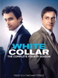 se1738 : ซีรีย์ฝรั่ง White Collar season 4 [ซับไทย] DVD 4 แผ่น