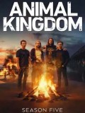 se1880 : ซีรีย์ฝรั่ง Animal Kingdom Season 5 (ซับไทย) DVD 3 แผ่น