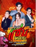 st2116 : ละครไทย รักแท้แซ่บหลาย DVD 5 แผ่น