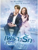 st2127 : ละครไทย เพราะรัก Because of Love DVD 5 แผ่น