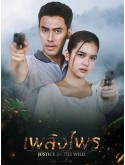 st2131 : ละครไทย เพลิงไพร DVD 5 แผ่น
