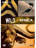 ft085:สารคดี Wild Africa 2 แผ่น