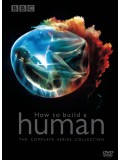 ft106 : สารคดี BBC:How to build a HUMAN DVD 1 แผ่น