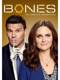 se1241 : ซีรีย์ฝรั่ง Bones Season 9  [พากษ์ไทย] DVD 5 แผ่นจบ