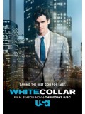 se1247 : ซีรีย์ฝรั่ง White Collar Season 6 [เสียงไทย] DVD 2 แผ่นจบ