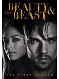 se1296 : ซีรีย์ฝรั่ง Beauty And The Beast Season 1 [ซับไทย] 8 แผ่น