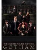 se1378 : ซีรีย์ฝรั่ง Gotham Season 1 [พากย์ไทย] 5 แผ่น