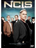 se1557 : ซีรีย์ฝรั่ง NCIS Season 7 เอ็นซีไอเอส หน่วยสืบสวนแห่งนาวิกโยธิน ปี 7 (พากย์ไทย) 5 แผ่น