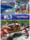 ft043 :สารคดี Wild Caribbean แดนสวรรค์คาริเบียน  DVD Master 1 แผ่นจบ