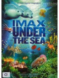 ft064 : IMAX Under The Sea มหัศจรรย์โลกใต้ทะเลลึก DVD Master 1 แผ่นจบ