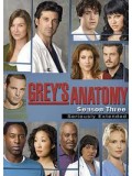 se0039 : ซีรีย์ฝรั่ง Grey's Anatomy Season 3 แพทย์มือใหม่หัวใจเกินร้อย ปี 3 [ซับไทย] 7 แผ่นจบ