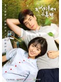CH881 : A Love So Beautiful รักนี้ยังงดงาม (2ภาษา) DVD 4 แผ่น