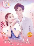 CH941 : ซีรี่ย์จีน Dear Prince (ซับไทย) DVD 4 แผ่น