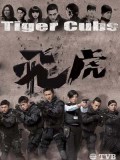 CH948 : ซีรี่ย์จีน หน่วยพยัคฆ์เสือบิน Tiger Cubs (พากย์ไทย) DVD 3 แผ่น