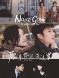 CH988 : ซีรี่ย์จีน Never Gone (2018) (ซับไทย) DVD 5 แผ่น