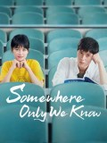 CHH1032 : ซีรี่ย์จีน Somewhere Only We Know (2019) (ซับไทย) DVD 5 แผ่น