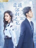 CHH1048 : ซีรี่ย์จีน Walk Into Your Memory (ซับไทย) DVD 4 แผ่น