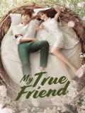 CHH1120 : My True Friend เพื่อนที่รัก (ซับไทย) DVD 8 แผ่น